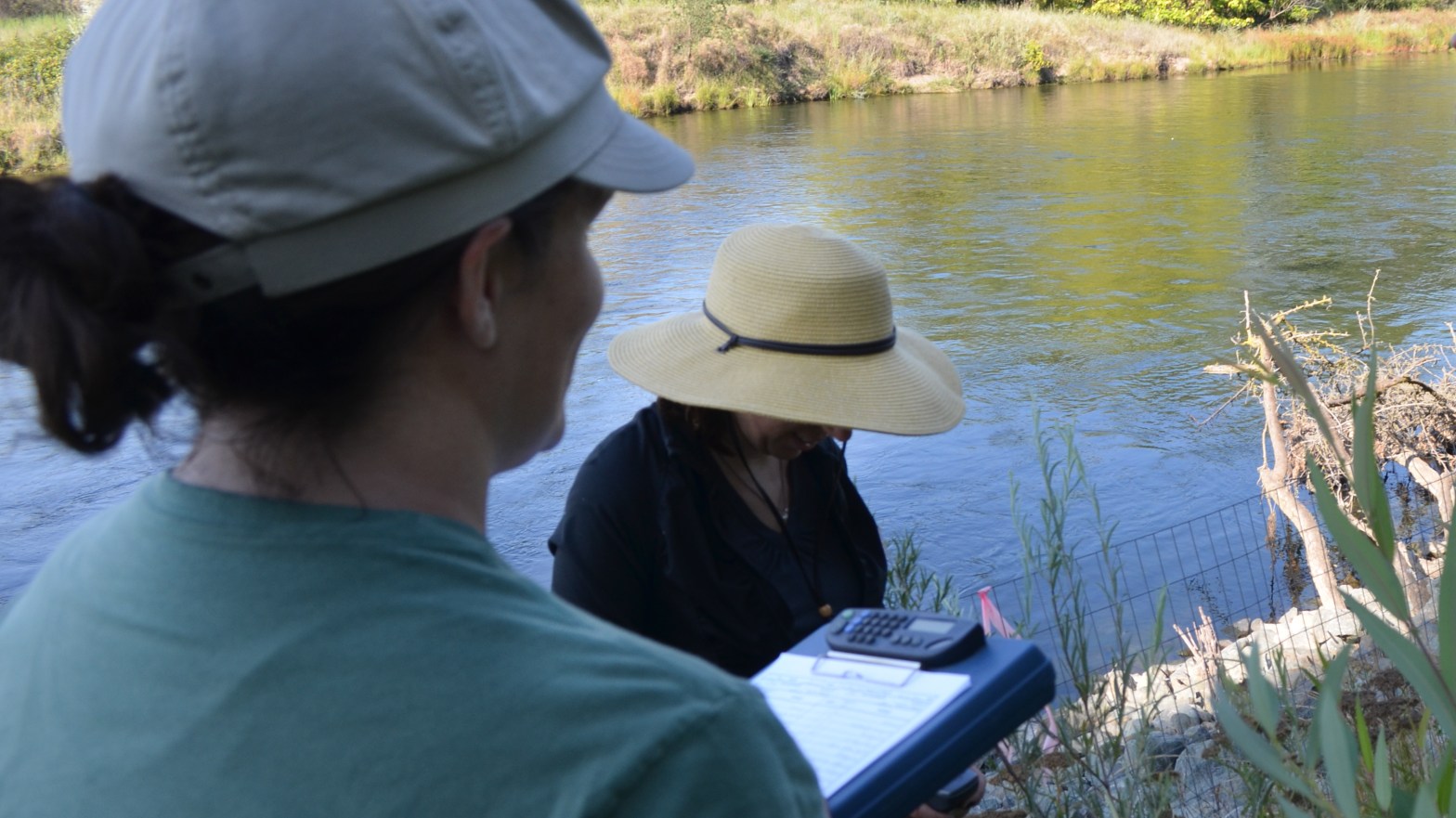 an environmental surveyor conducting a riverbank survey
