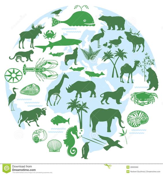 Biodiversity graphic
