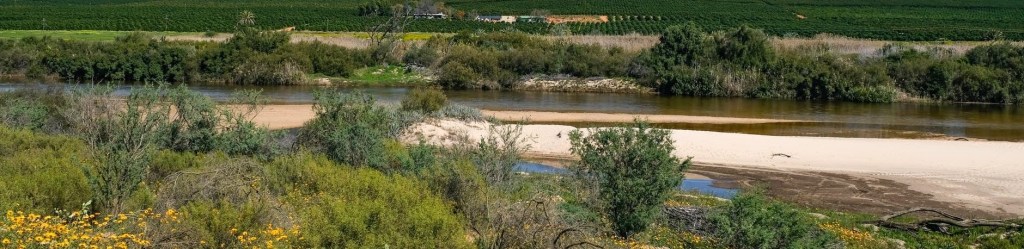 landscape with varying habitat type