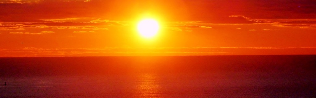 The sun is a valuable source of renewable energy through the use of solar panels. Such developments can help biodiversity improvement and biodiversity net gain too.