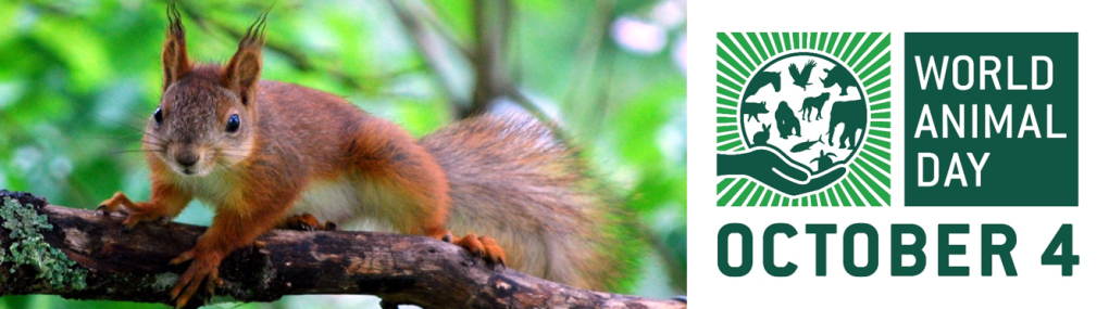 World Animal Day aims to ensure that animals are recognised as sentient beings and protected accordingly.