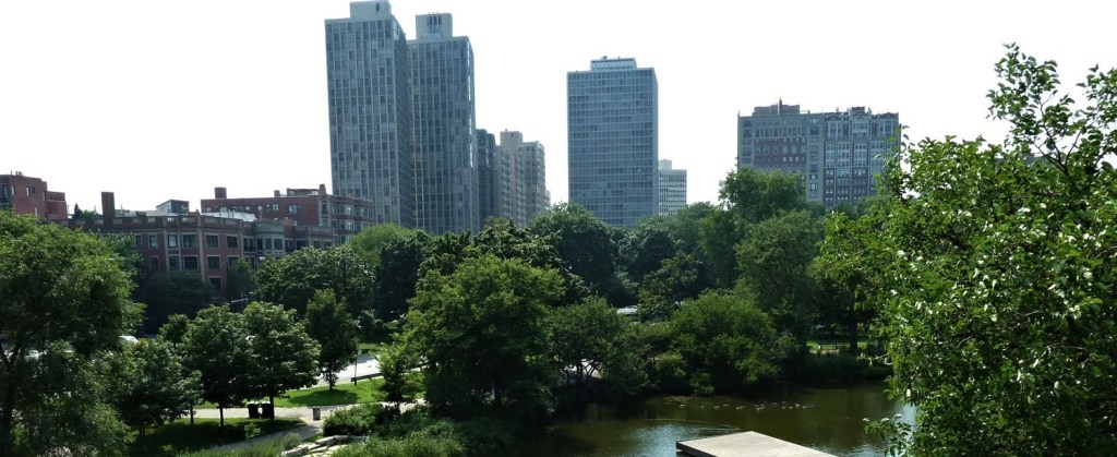 Architects and developers can and should ensure better integration of nature within their projects, providing new and replacement habitats for protected species and other creatures alongside human requirements.