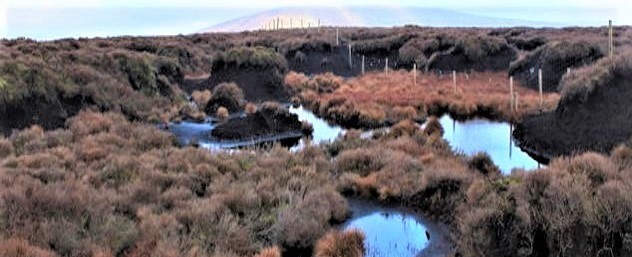 Large areas of peatland have been lost historically through drainage, but they can be restored improving carbon sequestration and providing habitats for protected species.