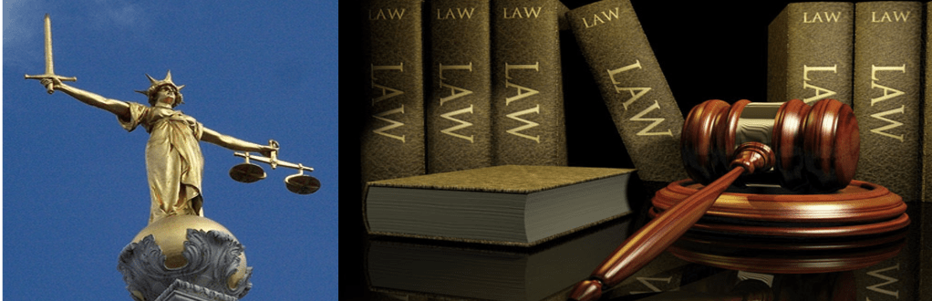 Justice and law books. The long-awaited UK Environment Act 2021 brought some hope to improving biodiversity, but other legislation is now required to enforce the standards outlined.