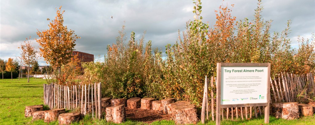 Example of a European "mini forest". Although biodiversity has been included in its design, will all of the different species thrive as the patch develops and matures?