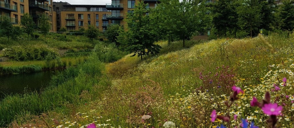 Biodiversity net gain legislation will require improved integration of nature with development projects to cater for protected and other species. Green developers will be following BNG principles in advance of changes to the law.