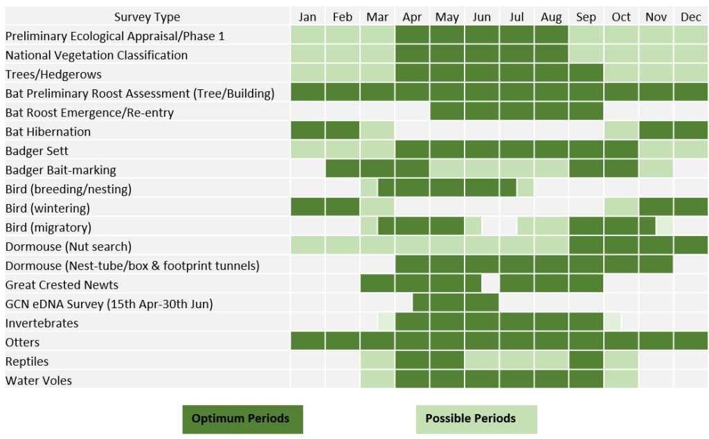 Calendar showing optimum timings for surveys of protected species, like bats, badgers, dormice, great-crested newts, reptiles and otters.