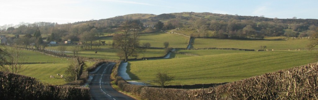 British native woodland and hedgerow areas have declined dramatically. Significant increases are required to help boost dwindling pollinator populations.