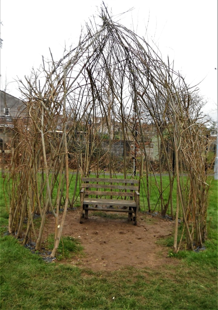 The current state of the larger dome - hopefully more stems will flourish throughout this year and we can feed them back into the structure to fill it out.