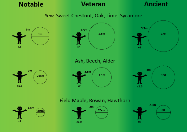 Tre status by estimated trunk girth