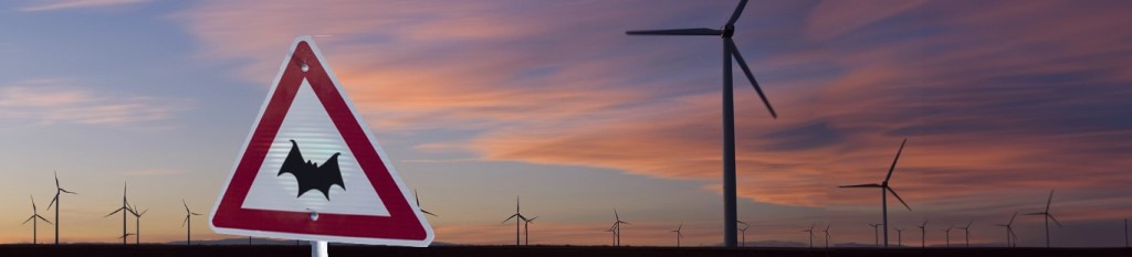 Traditional wind turbines can have significant impact on birds and bats.